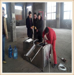 葵花籽去皮機報價 廠家